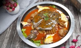 麻辣甲鱼爆料视频